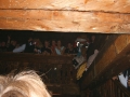 Digital Camera