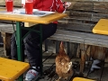 saalbach-2010-079-pentax-corporation-pentax-optio-a10