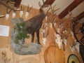 saalbach-2010-103-canon-canon-digital-ixus-860-is