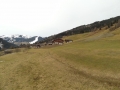 saalbach-2014-060-sonydsc-hx7v