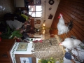 schladming-2012-049-panasonic-dmc-fx01